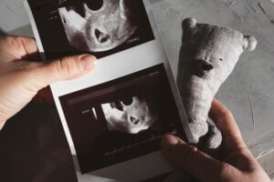 Dating Scan