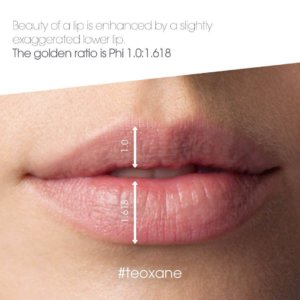 measurement of lower & upper lip for calculating the golden ratio